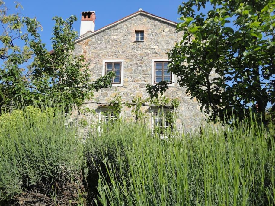 A Lovely House In Vipava Valley 외부 사진