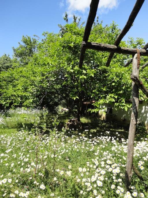 A Lovely House In Vipava Valley 외부 사진
