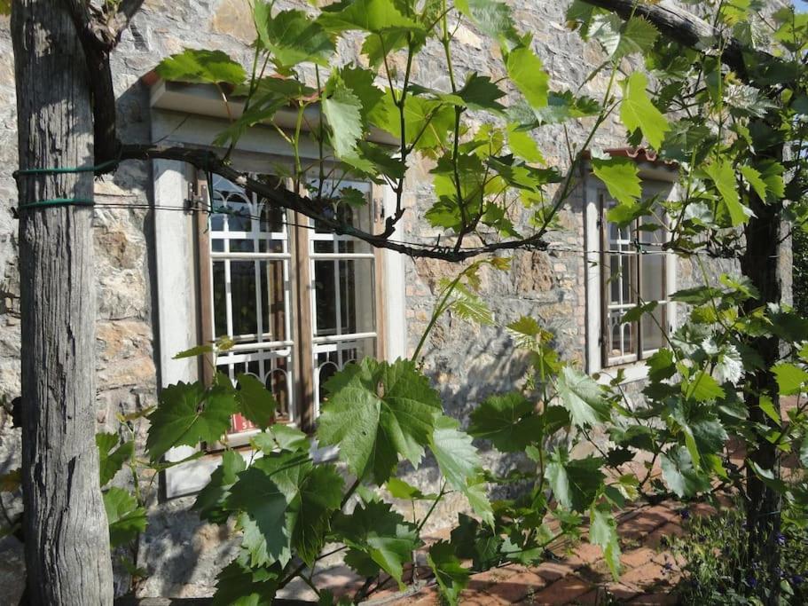 A Lovely House In Vipava Valley 외부 사진