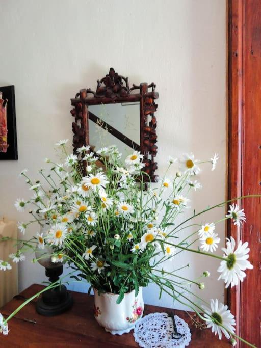 A Lovely House In Vipava Valley 외부 사진